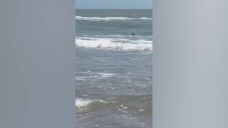 Sharks seen darting along Texas beach prior to successive bites - Fox News