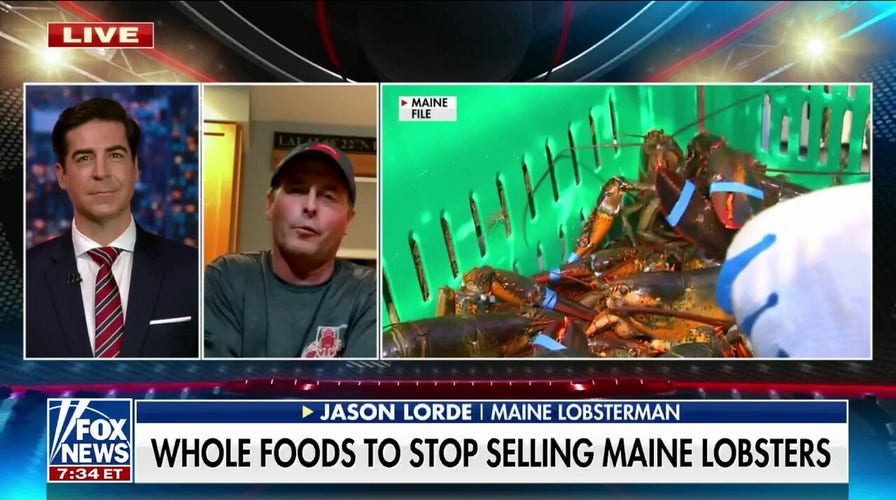 Why is Whole Foods pulling Maine lobster from its shelves?