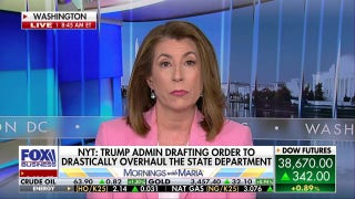 We see who Democrats' real priorities are, US State Department spokesperson says - Fox Business Video