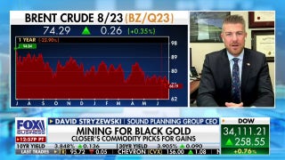 How have the Russians made moves in the oil industry? - Fox Business Video
