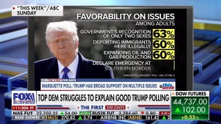 Trump favorability jumps as Democrat 'resistance' dies, pollster says - Fox Business Video