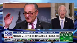 Schumer has no legitimate reason to block GOP funding bill, senator says - Fox Business Video