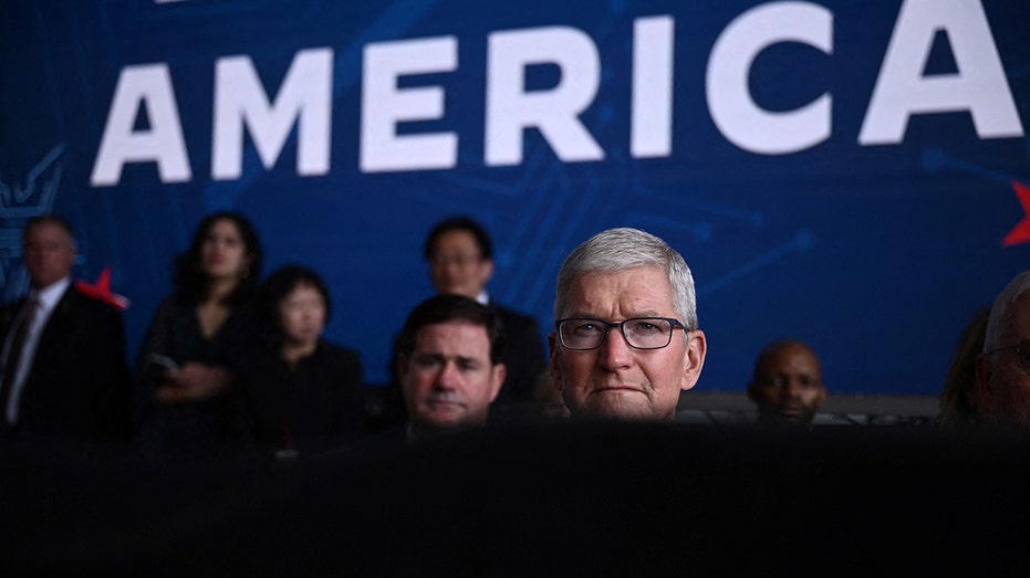apple ceo tim cook