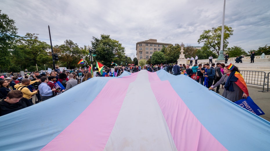 Trans Flag