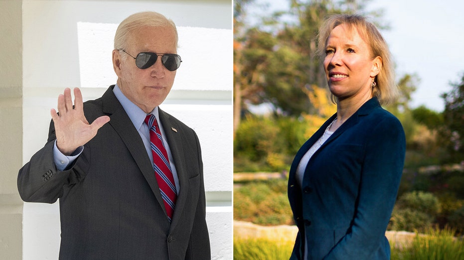 Biden and Jurvetson split image