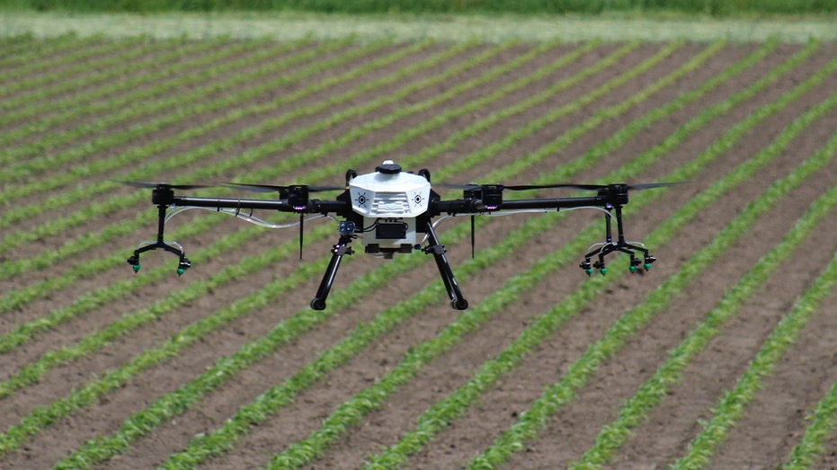 A Hylio drone flies over rows of crops