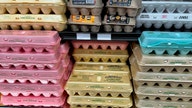 Egg prices decline for first time in months amid avian flu outbreak