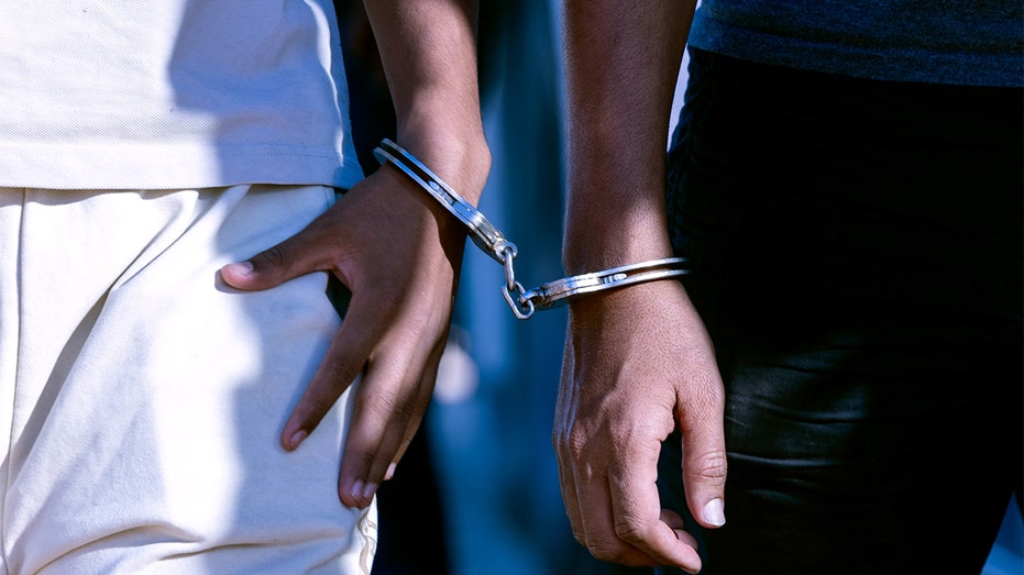Illegal immigrants arrested in handcuffs