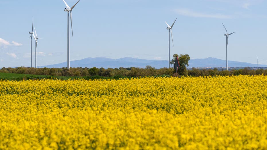 Wind turbines in a field